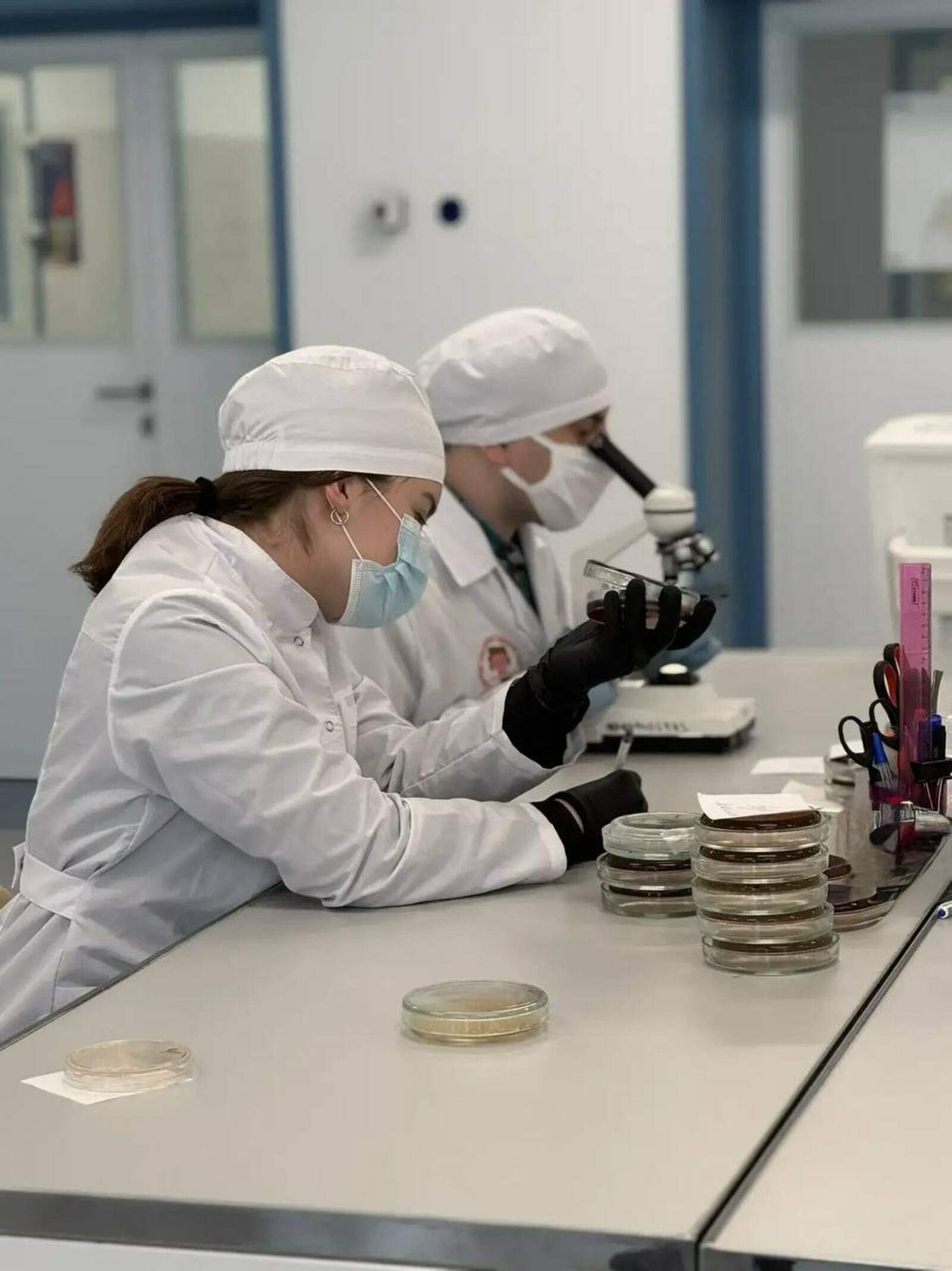 В кампусе Уфы создали тест-систему для быстрого поиска «бактерии стройности»