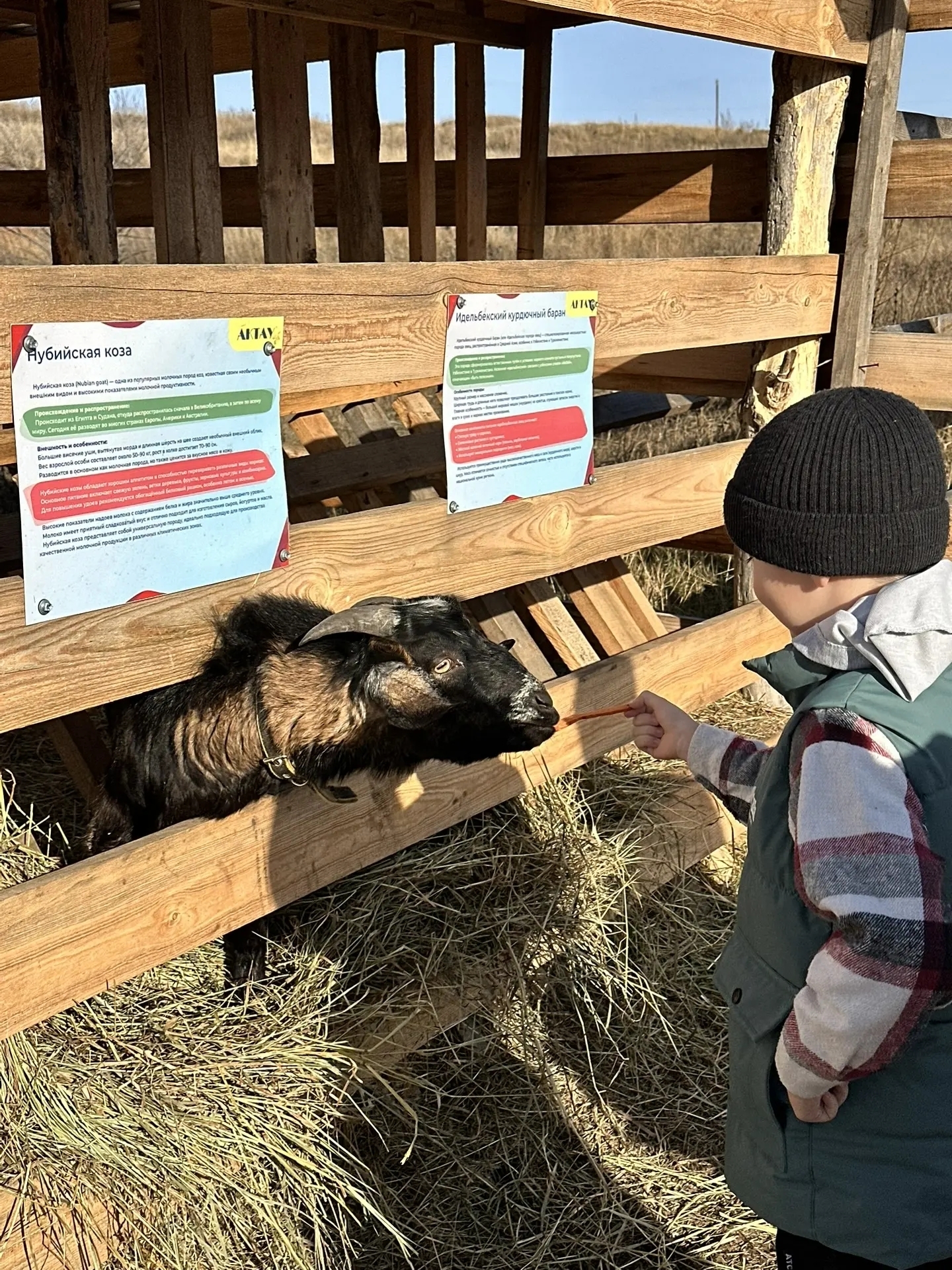 В Куюргазинском районе активно работает туристическая база «Актау»