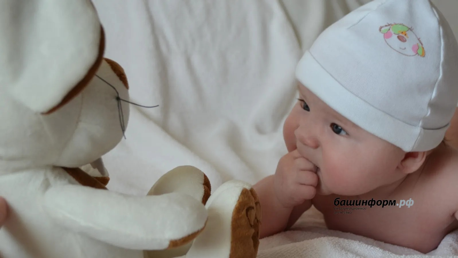 "Башинформ"