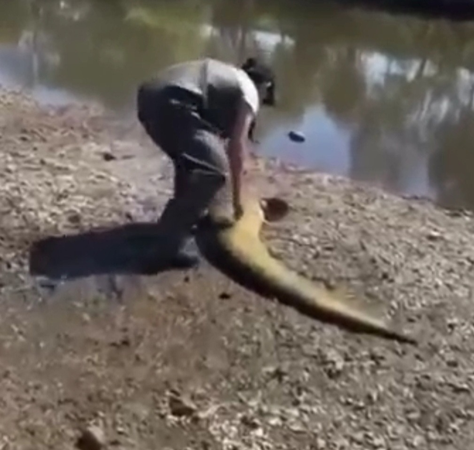 Фото: скрин видео