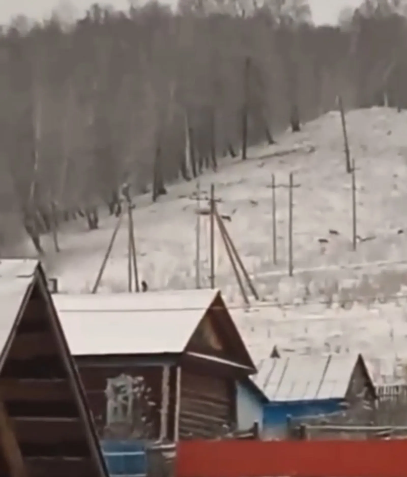 скрин видео