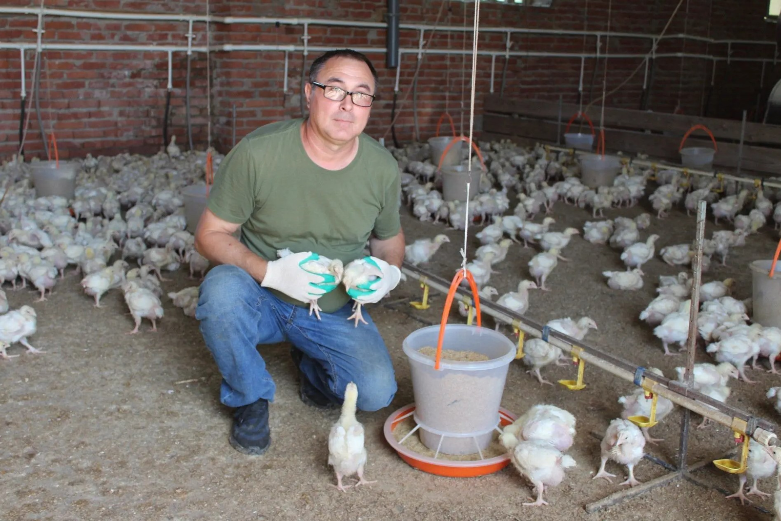 Господдержка помогла пенсионеру из Татышлинского района заняться птицеводством