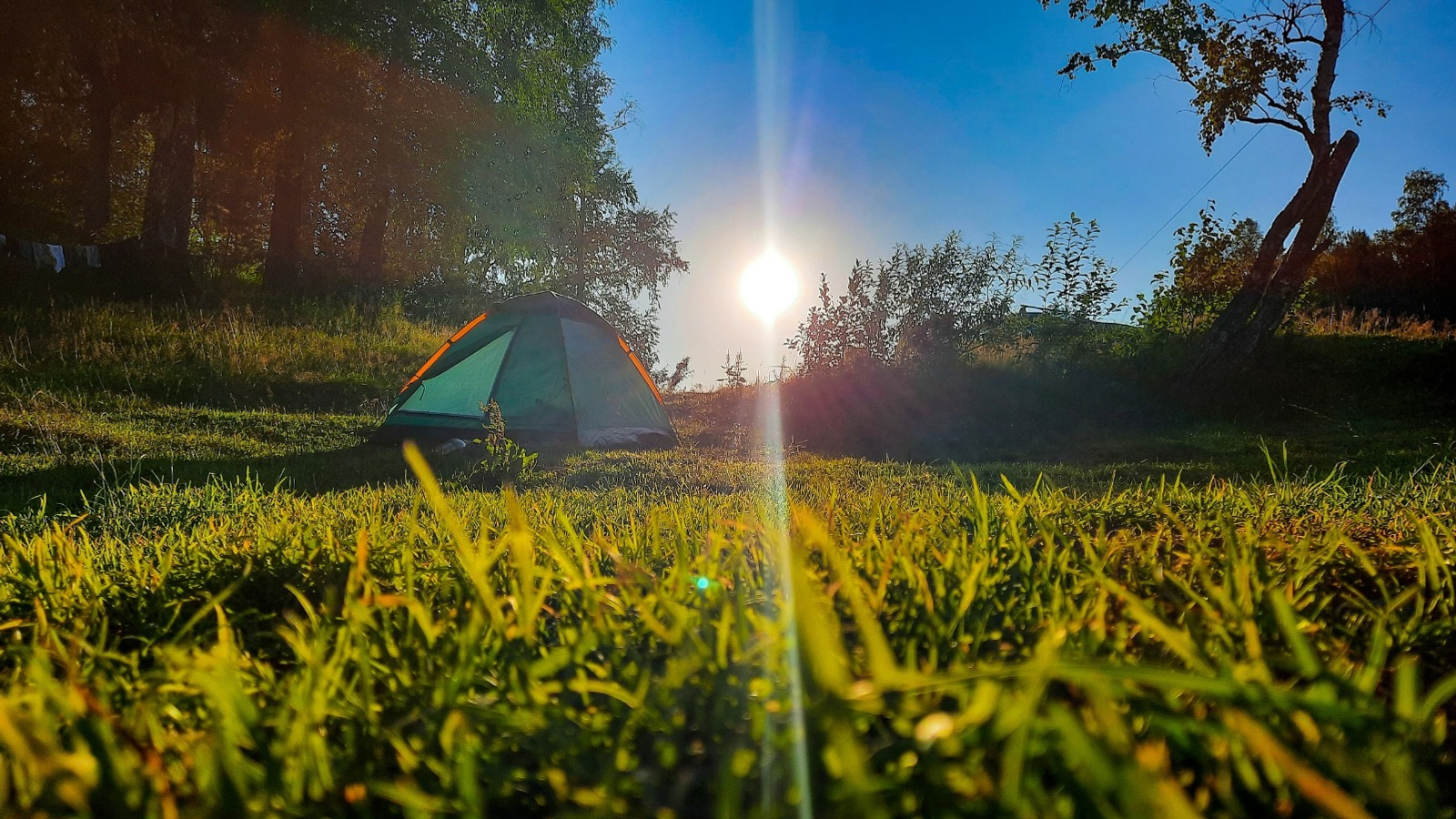 Фото: Пресс-служба МТС в Республике Башкортостан