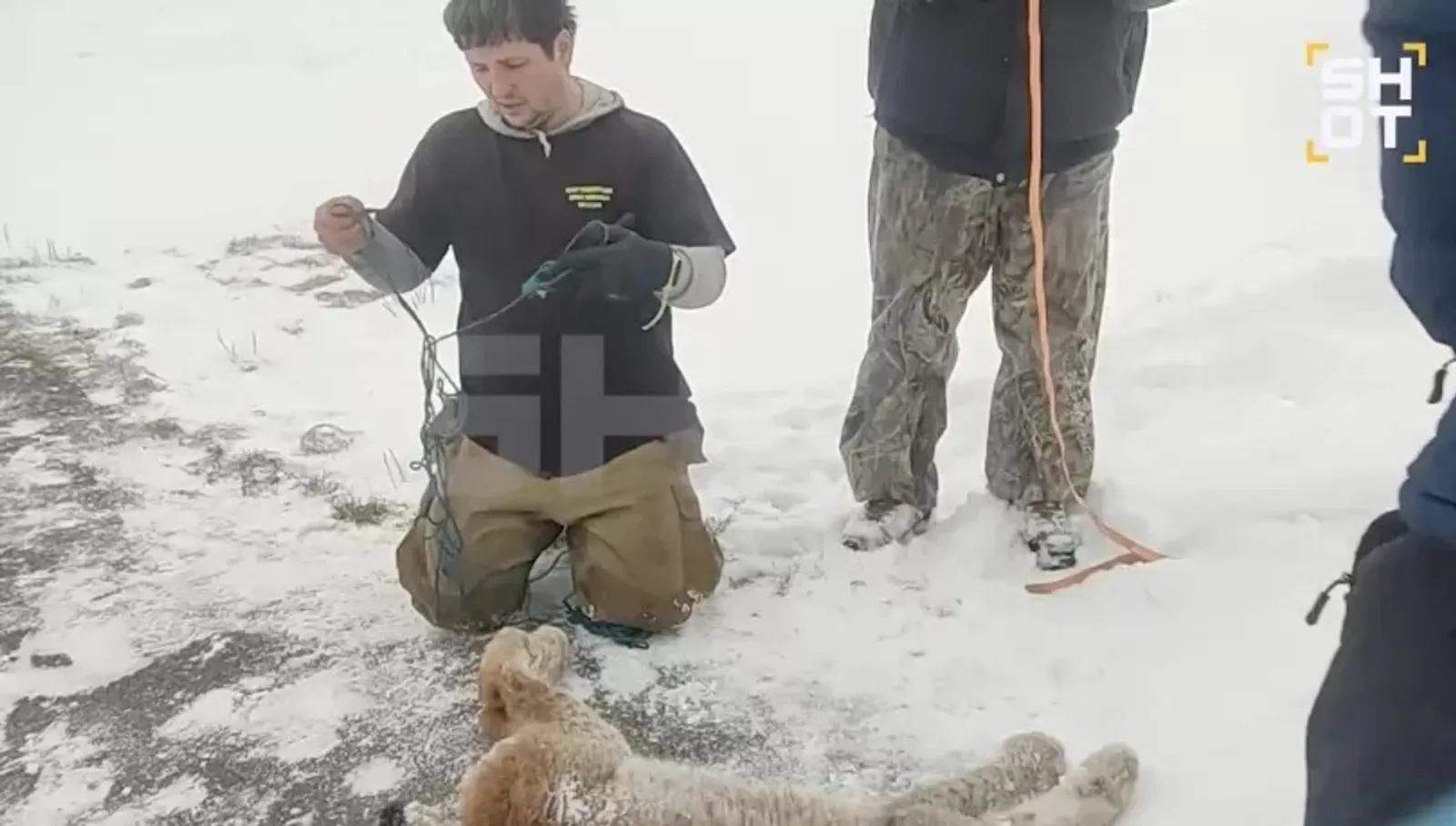 скрин видео
