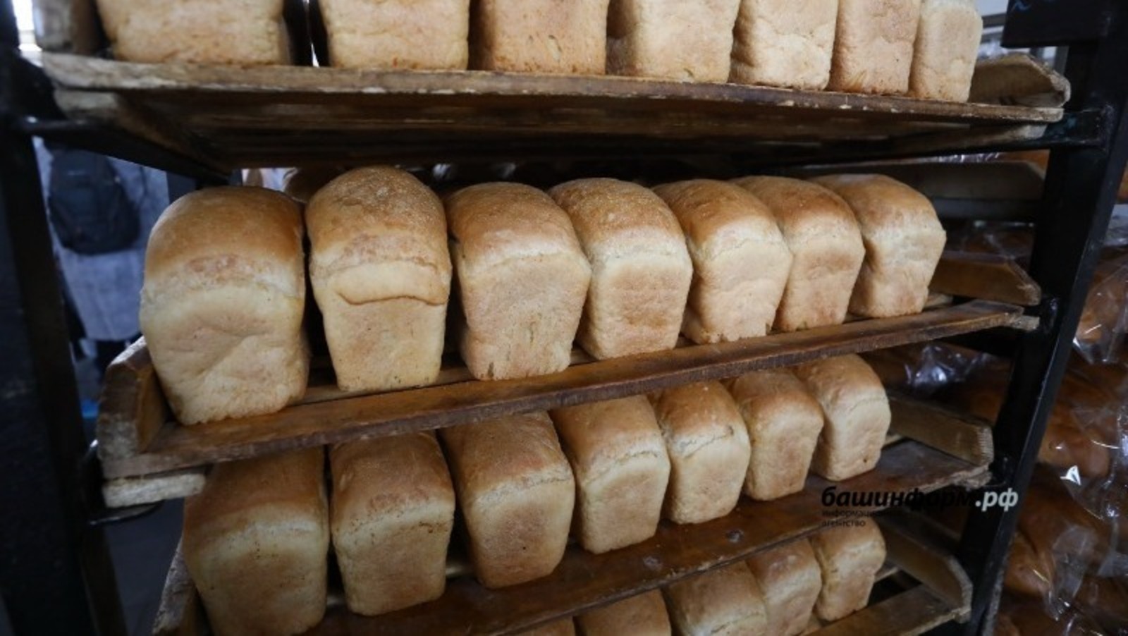 Каких-либо проблем с хлебом в Башкирии не будет - Фазрахманов