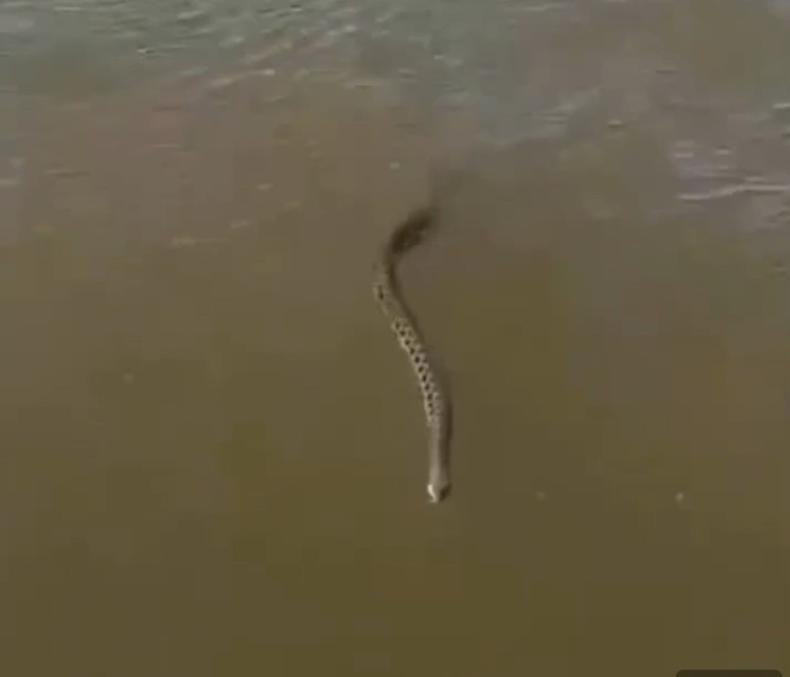 Фото: скрин видео