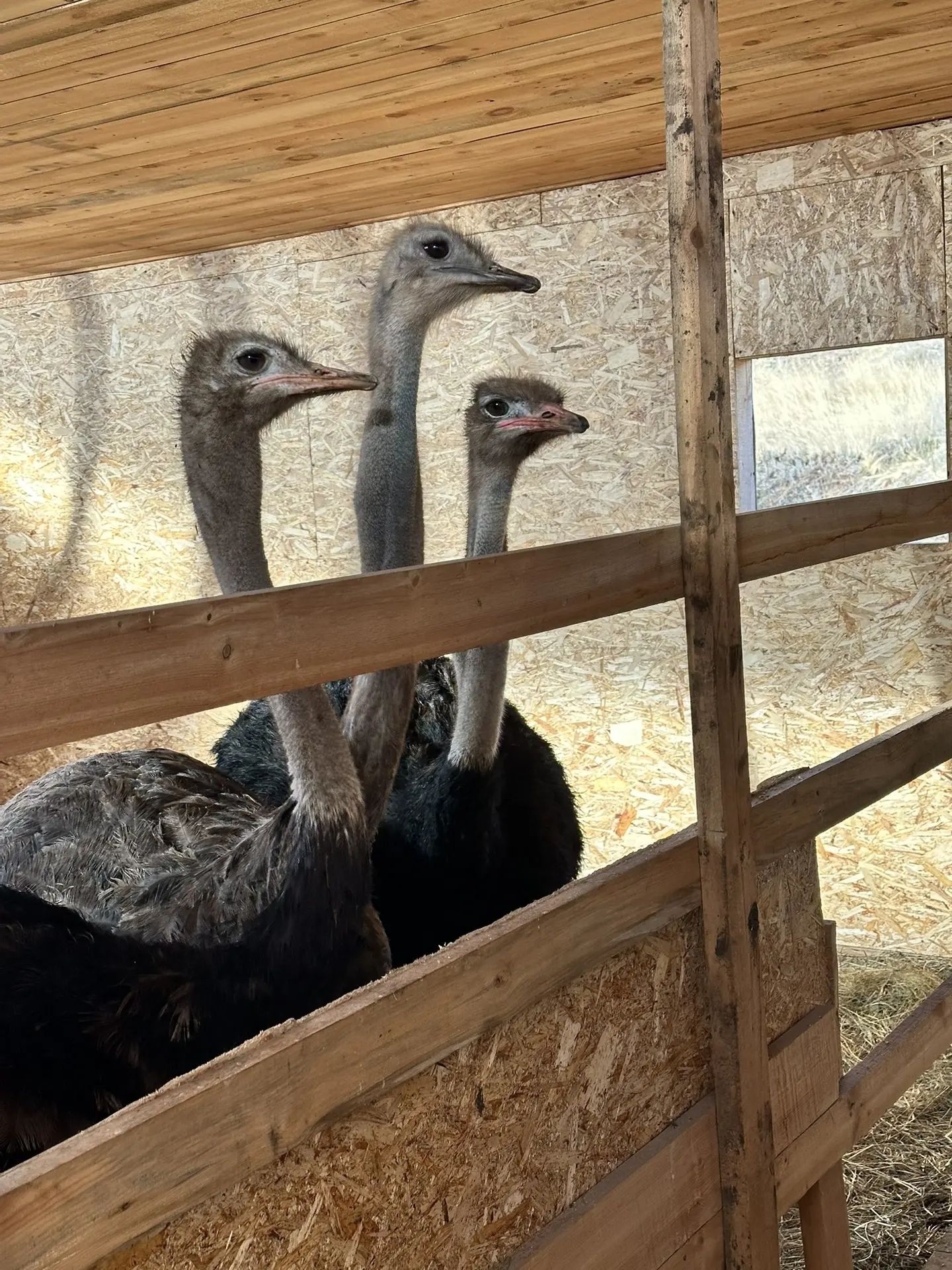 В Куюргазинском районе активно работает туристическая база «Актау»