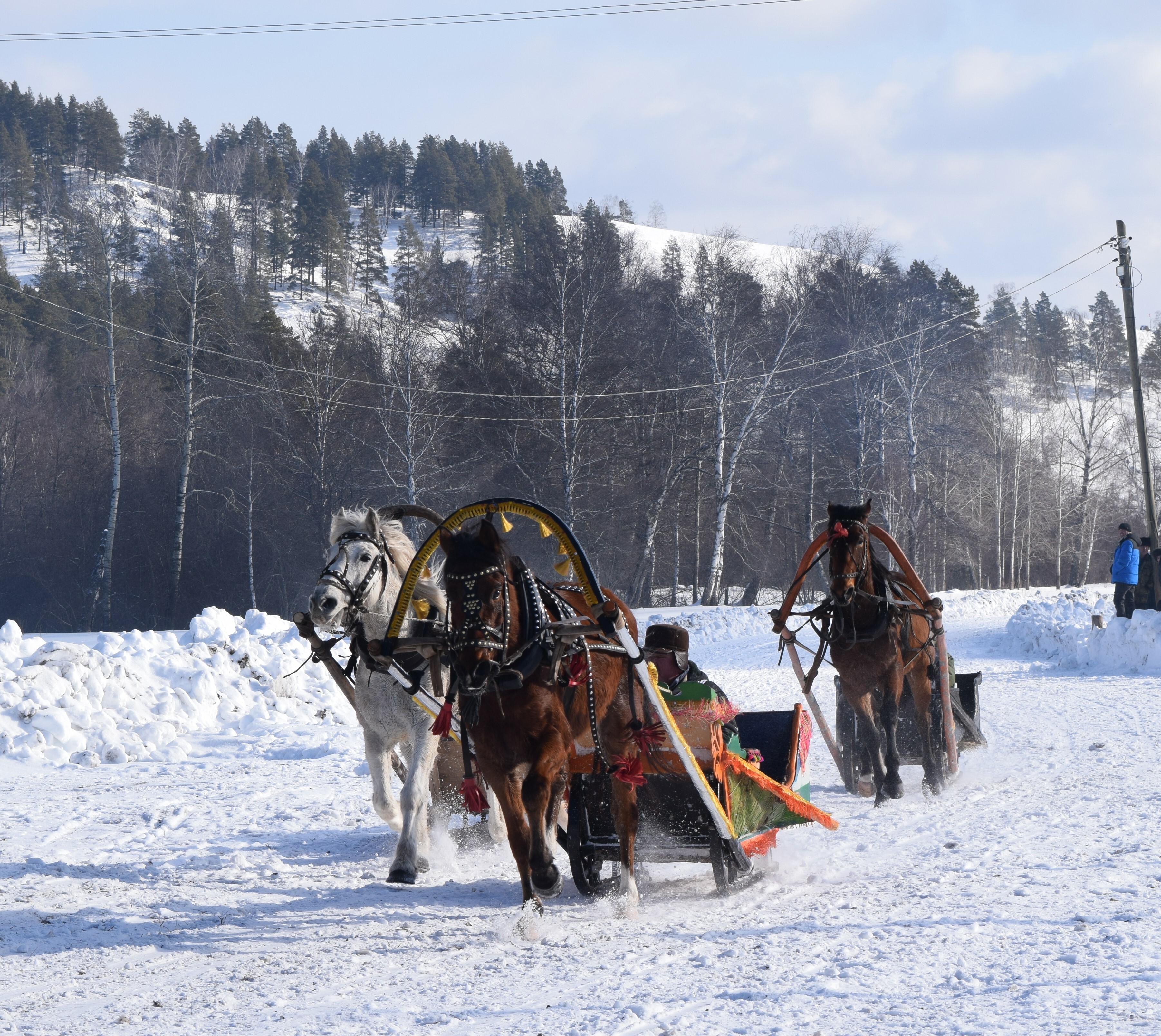 В Бурзянском районе прошли конно-саночные соревнования
