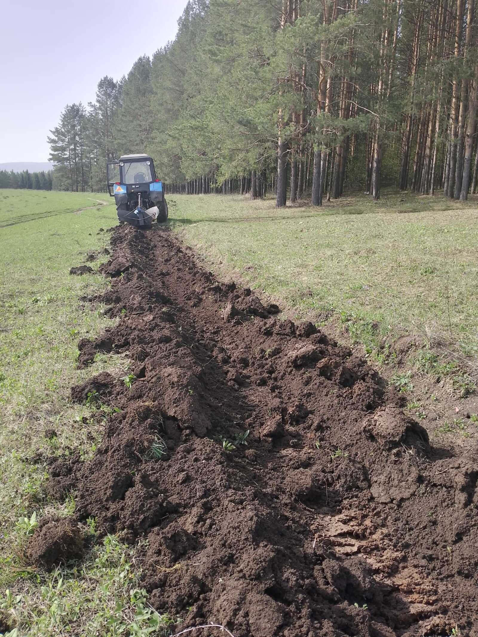 Работники лесхозов Республики Башкортостан продолжают противопожарное обустройство лесов