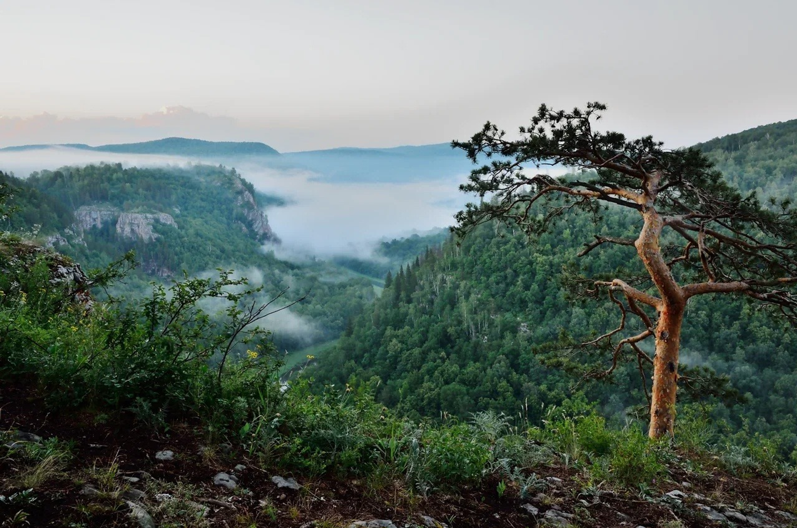 Фото: Пресс-служба МТС в Республике Башкортостан