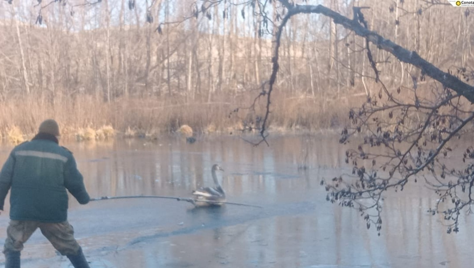 У. А. Галимуллина / природный парк «Аслы-Куль»