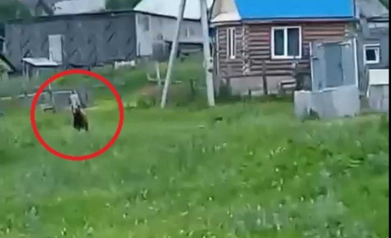 Фото: скрин видео